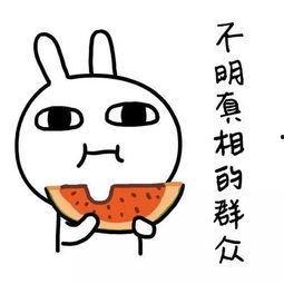 人间疾苦娱乐吃瓜酱,揭秘娱乐圈背后的酸甜苦辣